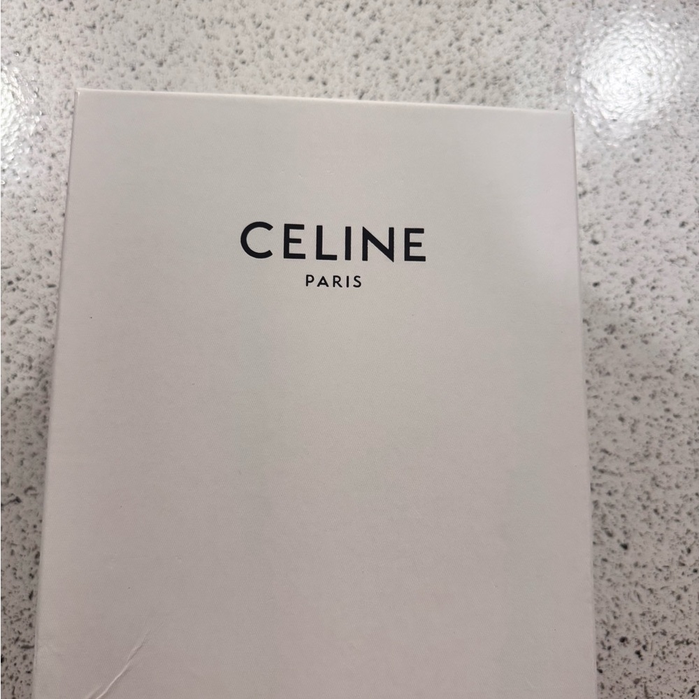 Celine Triomphe bag - Picture 9 of 10